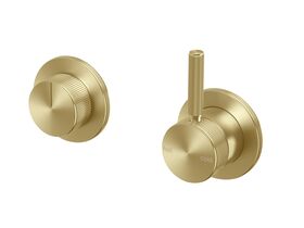 Hero - Milli Etch Shower Mixer Tap with Diverter Brushed Gold