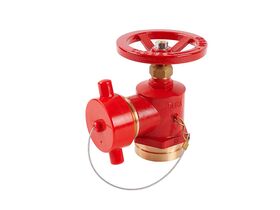 Dura Landing Valve 80RG/65BSP x CFA