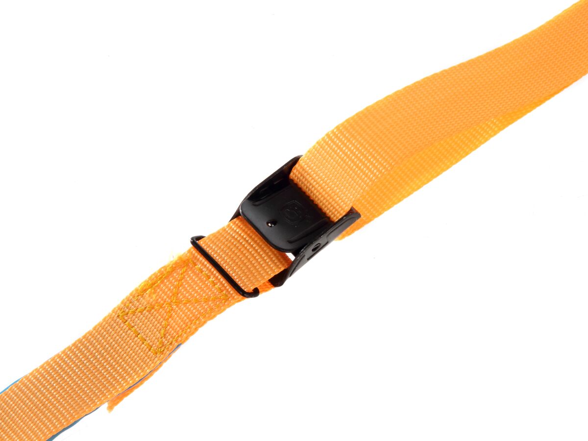 Bigdog Tie Down Strap 2.5mtr from Reece