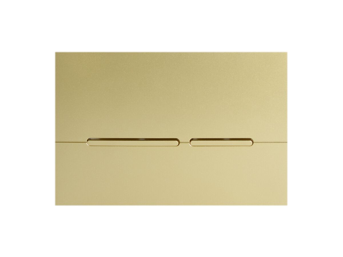 Hideaway+ Thin Button/ Plate Inwall ABS Champagne