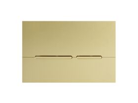 Hideaway+ Thin Button  Plate Inwall ABS Brushed Gold