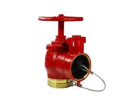 Fire Hydrant Landing Valve 80 Roll Groove x WA