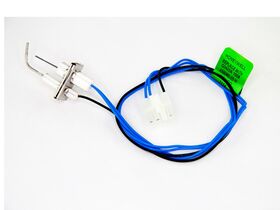 Brivis Electrode Assembly