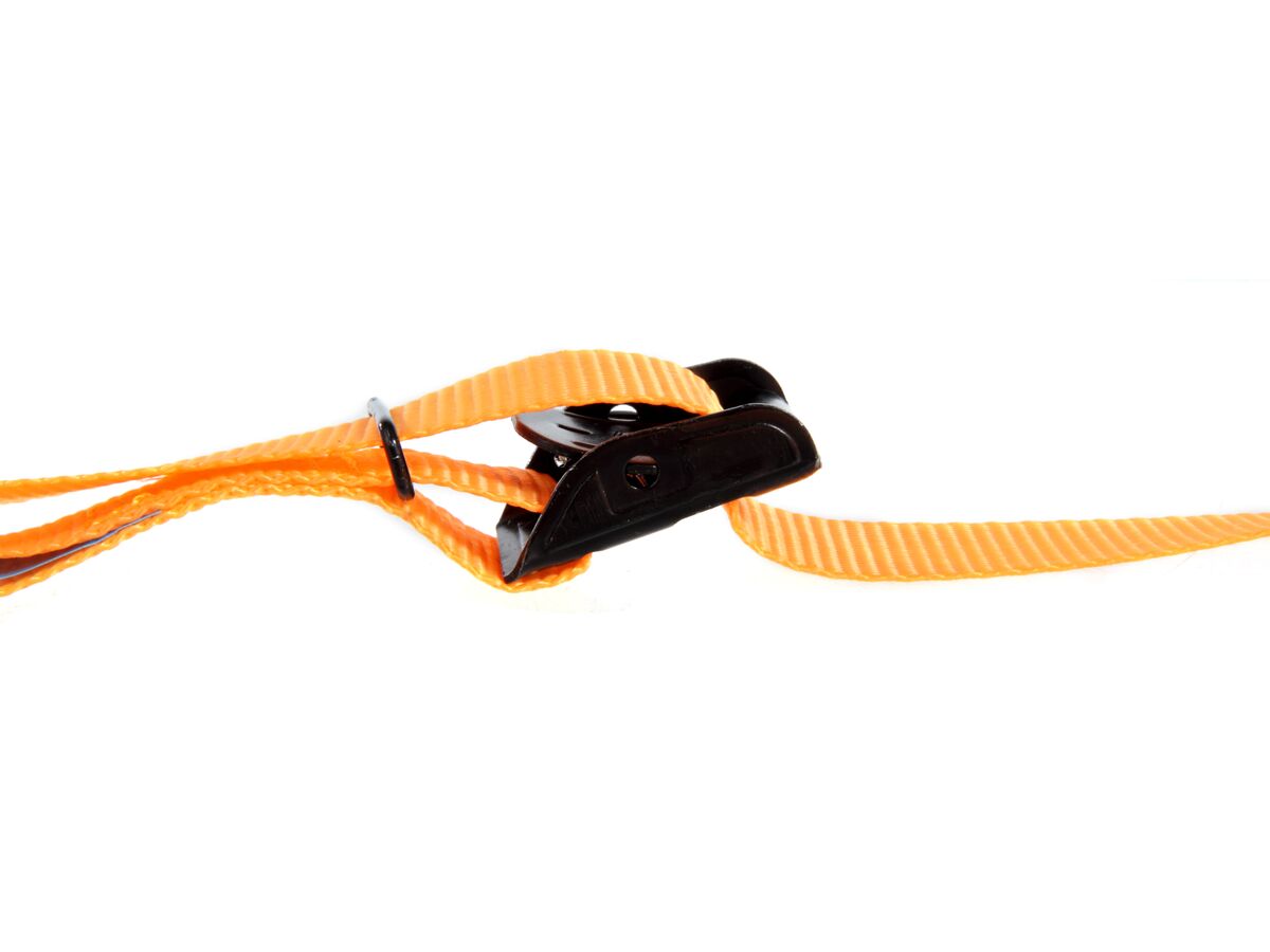 Bigdog Tie Down Strap 2.5mtr from Reece