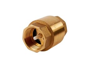 Spring Check Valve Untestedested 10mm
