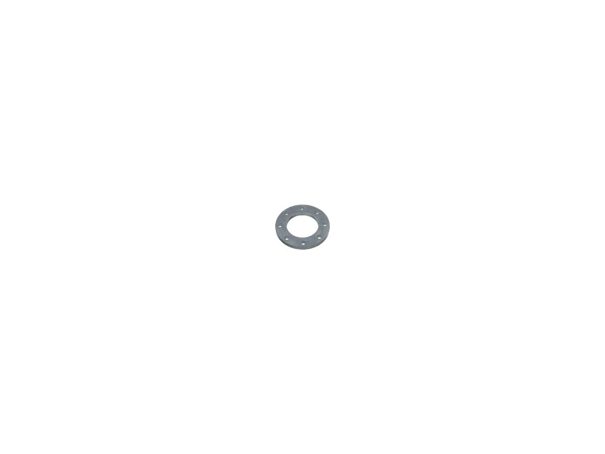 8 Hole Steel Backing Ring (Schedule 80)