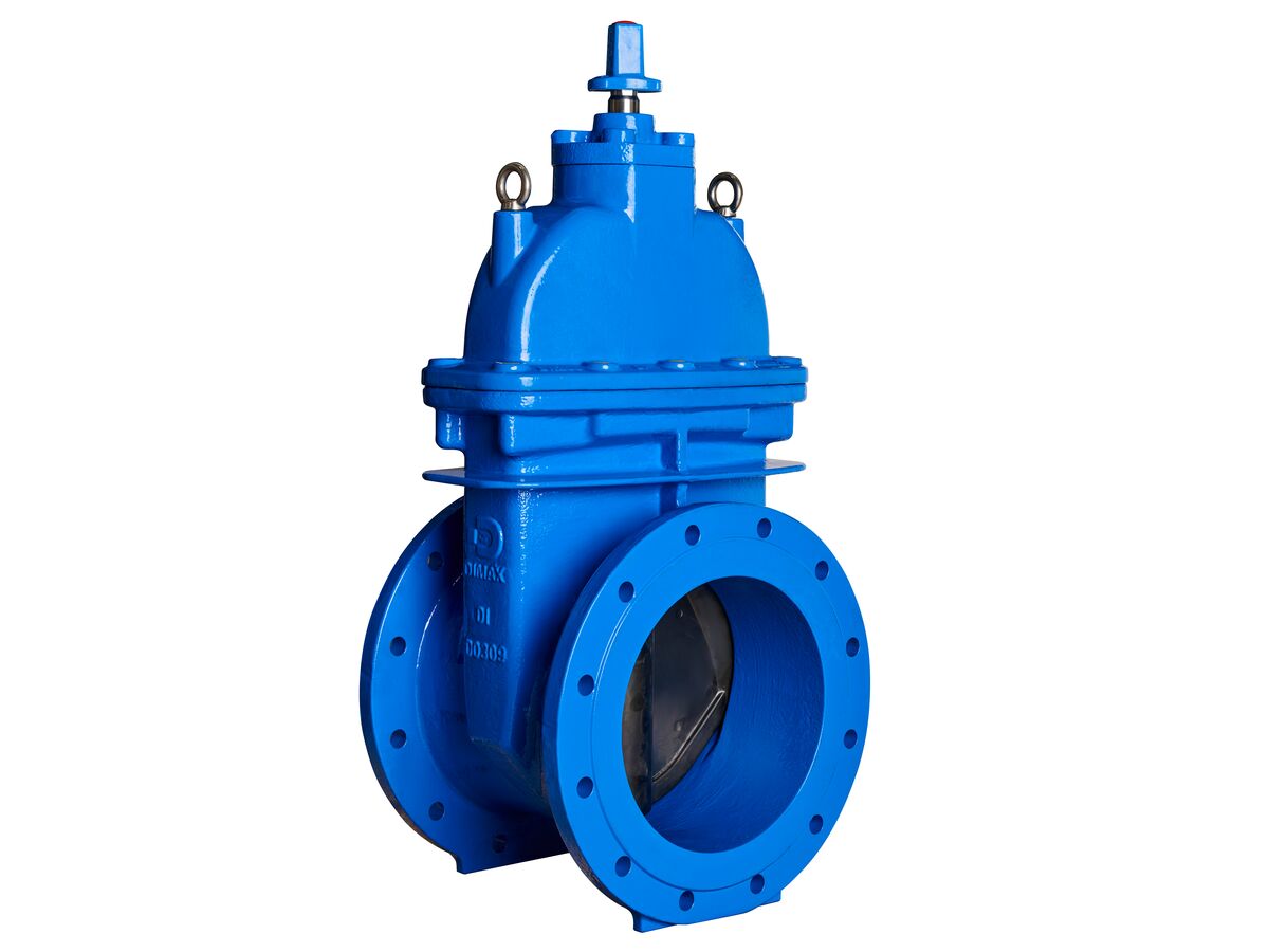 Dimax Resilient Seat Gate Valve (Flange x Flange) PN16 B5 300mm