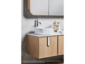 In Situ - Adorn 3 vanity with Grace handle and Cloud shaving cabinet close up top view - Pecan Oak
