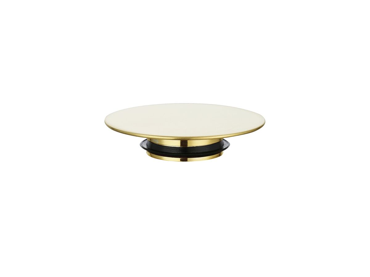 Mizu Drift Universal 40mm Flat Pup Plug Only Brushed Brass