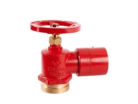 Dura Landing Valve 80RG/65BSP x Bic (WA NT)