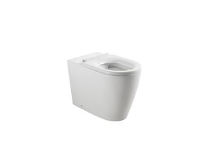 Wolfen Ambulant Back To Wall Rimless Back to Wall Pan with Single Flap Seat White (4 Star)