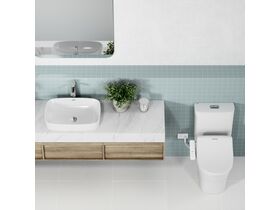 American Standard Signature Hygiene Rim Close Coupled Back to Wall Back/Bottom Inlet Toilet Suite with SpaLet E-Bidet Seat (4 Star)