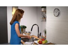 Hansgrohe Focus Kitchen Pullout Spray Mixer Chrome