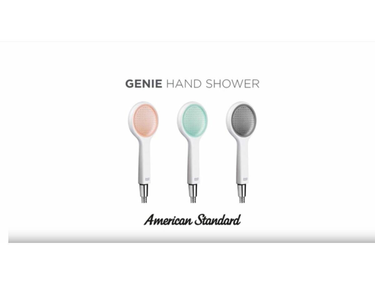American Standard Genie Handshower