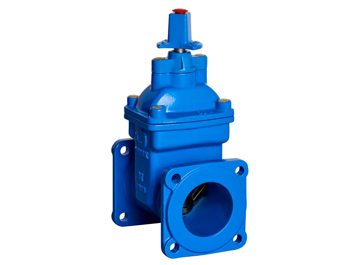 100mm Dimax FL Valves