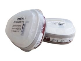 Maxisafe A1/P2 Gas/Particle Filter Set