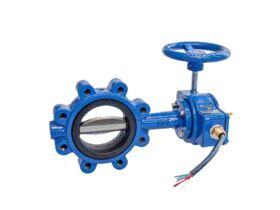 Lug Butterfly Valve W/Mark Monitor