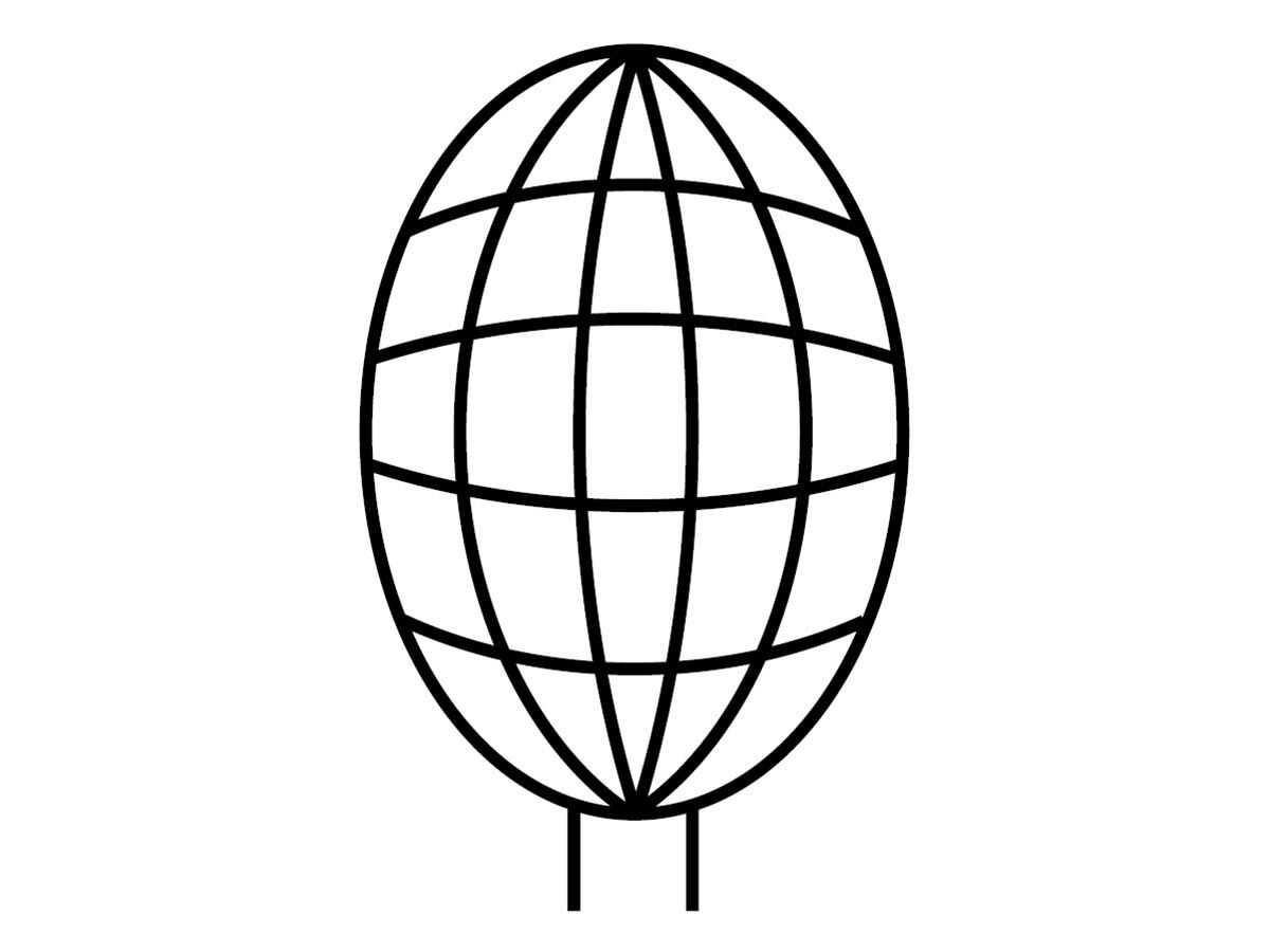 Vent Basket Cowl (Leaf Guard) Galvanised 150mm