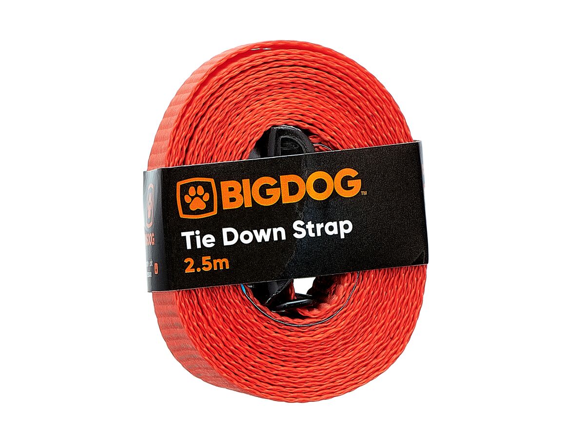 Bigdog Tie Down Strap (Red) 2.5m