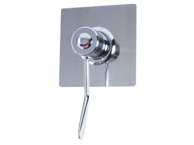 Mini Tmv Reece FloMix TMV Shower Mixer Tap 100mm Chrome Plated from Reece