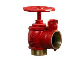 Fire Hydrant Landing Valve 65BSP x Wa
