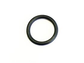 CAREL Teflon Seal / O-Rings E2V-Z 10 Pack E2VORI0100