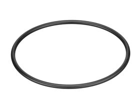 Henden Filter Basket O-Ring (Suits HSSP420)