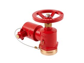 Dura Landing Valve 80RG/65BSP x Bic (WA NT)