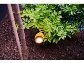 Spike Light AQL-503-AB-M IP65 12V