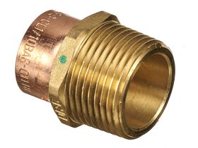 Auspex Male BSP Adaptor 25mm x 25mm