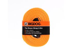 Bigdog Tie Down Strap 2.5m