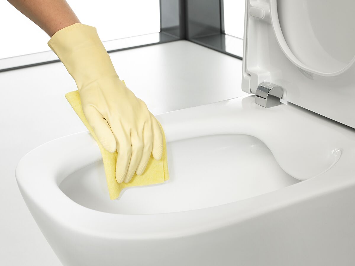 Roca The Gap Square Close Coupled Back to Wall Bottom Inlet Soft Close