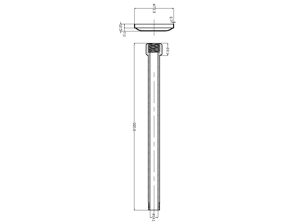 Mizu Vertical Shower Arm 300mm with cover Chrome