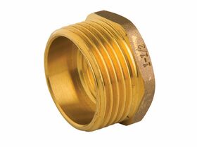 Bush Reducing Brass