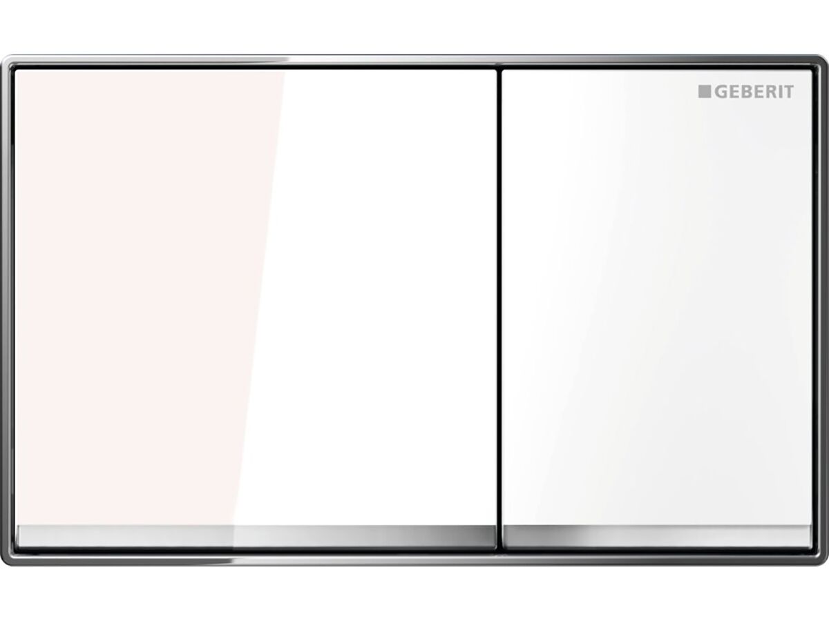 Geberit Omega 60 Dual Flush Button White Glass from Reece