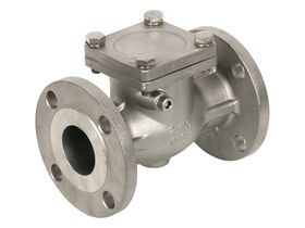 Zetco Stainless Steel Flanged Swing Check Valve - Table E 50mm