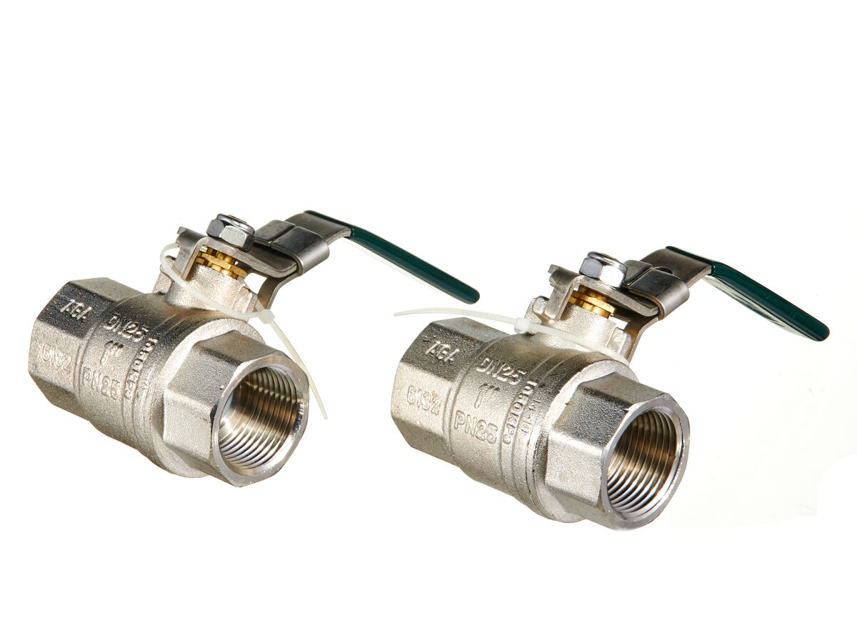 Zurn Backflow Double Check Valve with Lockable Ball Valves 25mm from Reece
