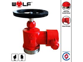 Stainless Steel Landing Valve 80mm RG X 65mm BI (WA and NT)