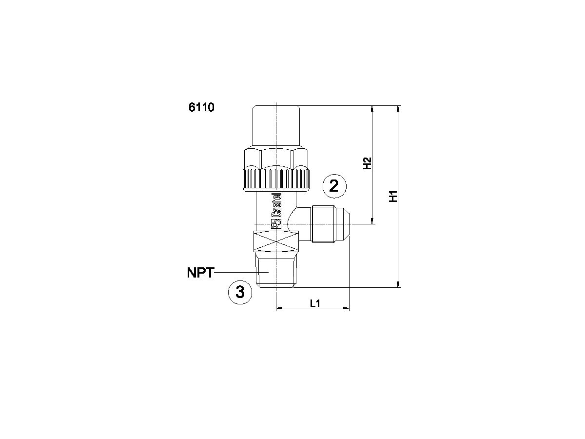 Castel Angle Valve 1/4" Flare x 1/4" NPT 6110/22 from Reece