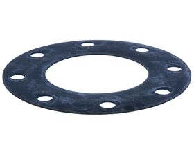 Flange Gasket Edpm For 150MM Table D/E