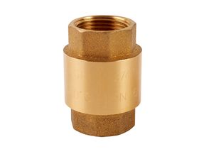 Spring Check Valve Untestedested 10mm