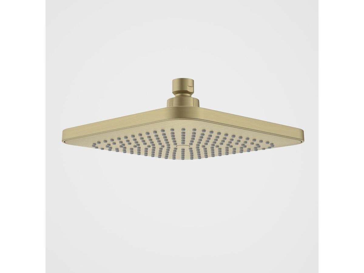 Caroma Luna Overhead Shower Head Brushed Brass (4 Star)