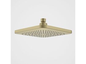 Caroma Luna Overhead Shower Head Brushed Brass (4 Star)