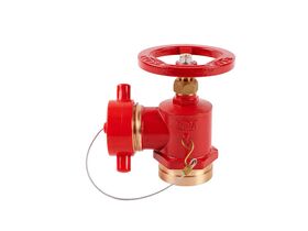 Dura Landing Valve 80RG/65BSP x CFA