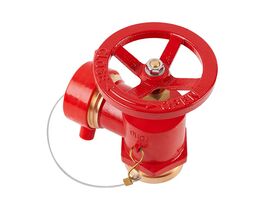 Dura Landing Valve 80RG/65BSP x CFA