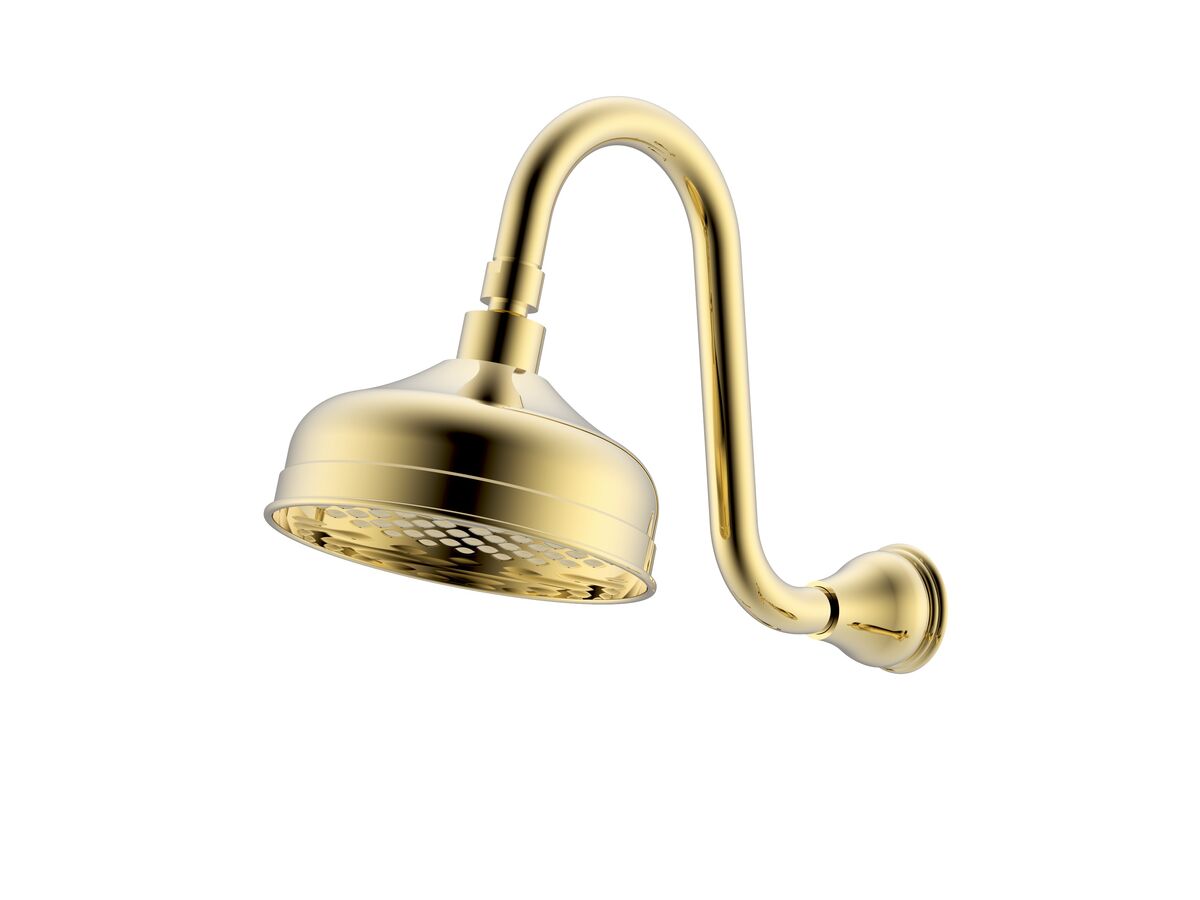 Milli Monument Edit Gooseneck Shower Arm & Rose Brass Gold (3 Star)
