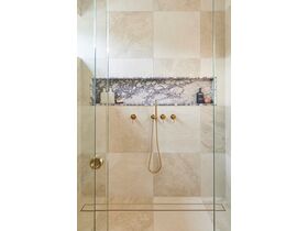 In Situ - Milli Meld Microphone Handshower with Water Inlet Swivel Wall Bracket Brushed Gold (4 Star)