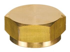 SKY Cylinder Cap 3/4" Fbsp (1)