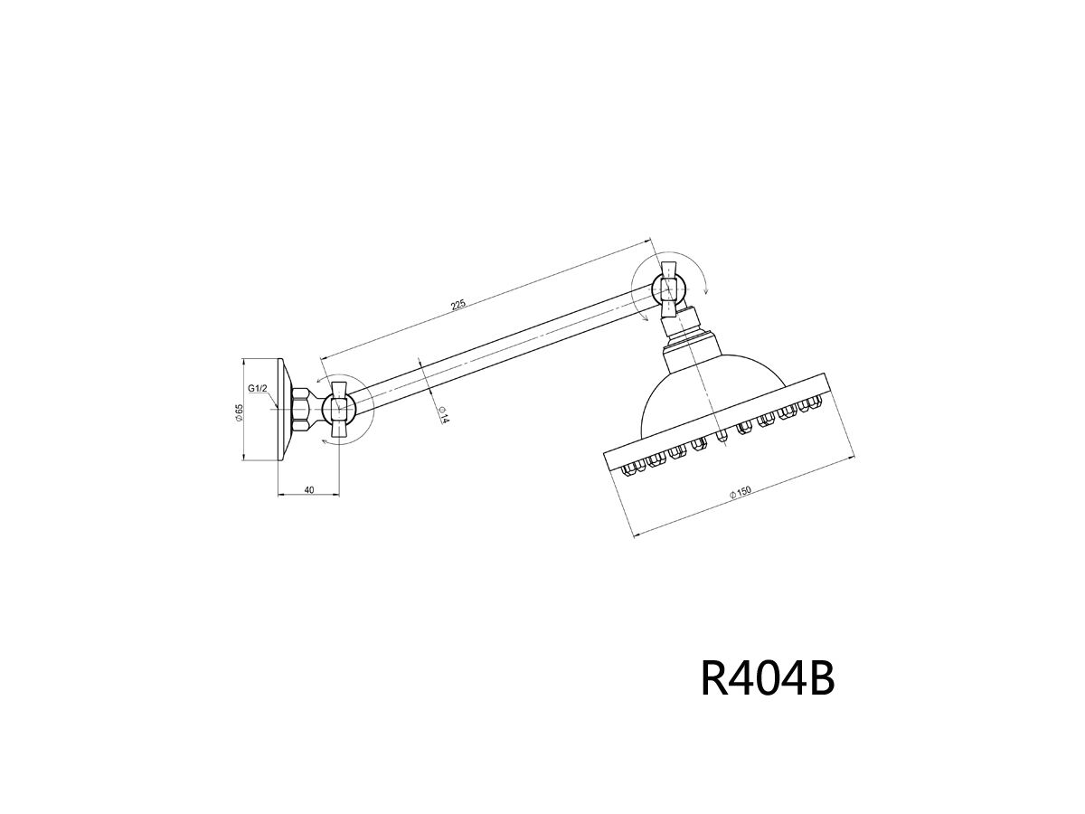 Renew All Directional Shower Rose & Arm 150mm Chrome (3 Star)