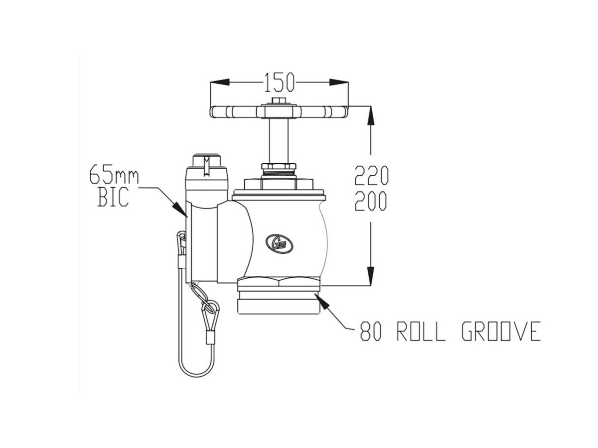 Fire Hydrant Landing Valve 80 Roll Groove x WA